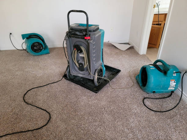 Best Flooded house restoration  in Kimball, TN