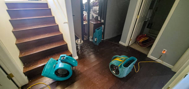 Best Water damage restoration near me  in Kimball, TN