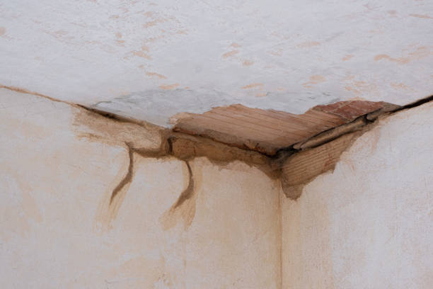 Best 24/7 water damage repair  in Kimball, TN