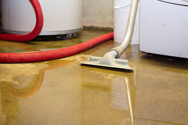 Best Fire Damage Restoration  in Kimball, TN