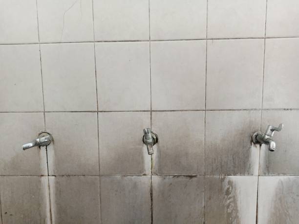 Best Flood damage cleanup  in Kimball, TN