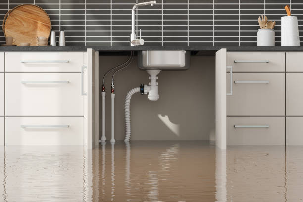 Best Water damage mitigation services  in Kimball, TN