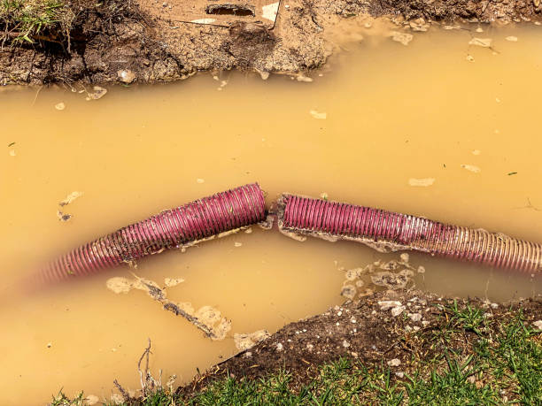 Best 24-hour water damage restoration  in Kimball, TN